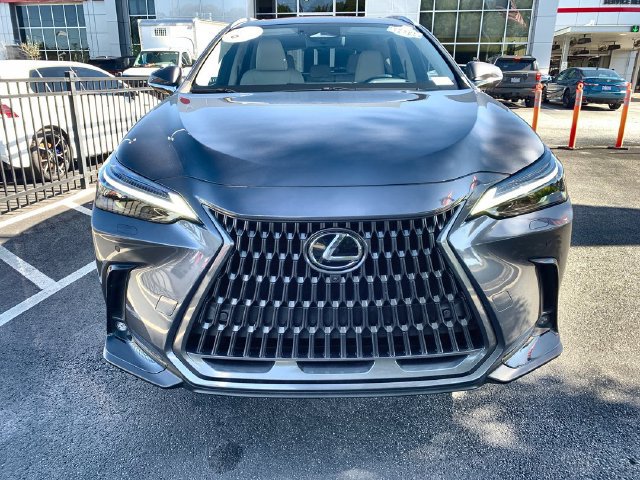 Used 2025 Lexus NX 350h AWD w/ Cold Area Package image 3