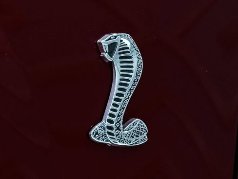 Used 2003 Ford Mustang Cobra RWD image 21