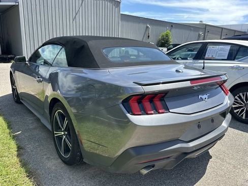 Used 2024 Ford Mustang Premium RWD image 7