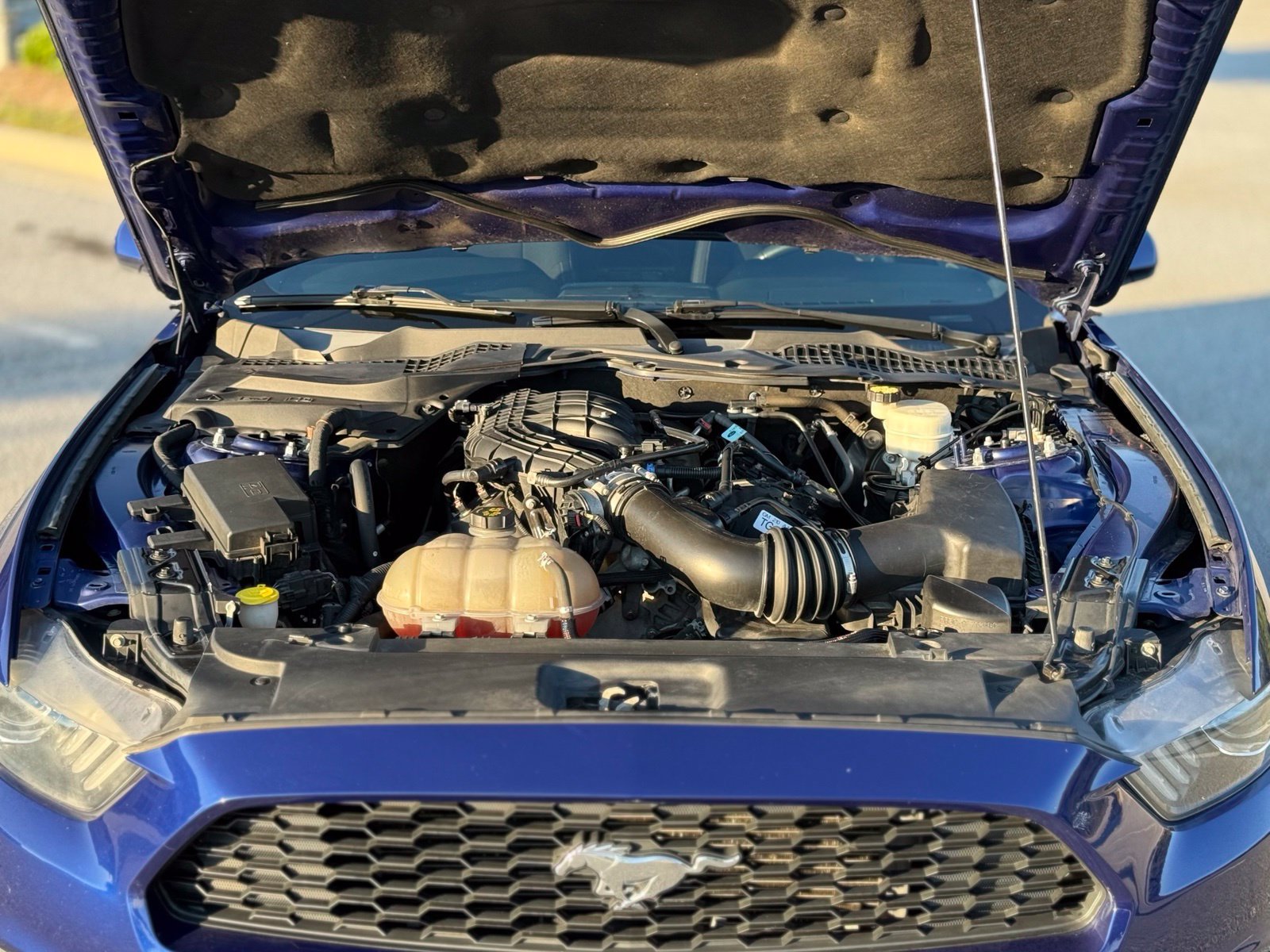 Used 2016 Ford Mustang Coupe w/ Equipment Group 051A RWD image 45
