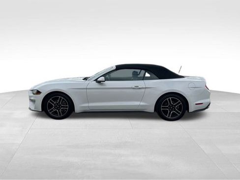 Used 2021 Ford Mustang Premium image 8