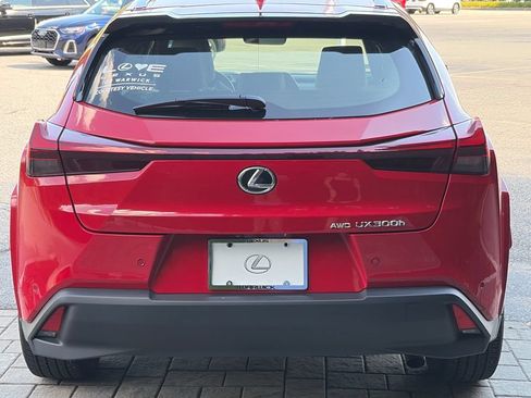 Used 2025 Lexus UX 300h AWD w/ Cold Area Package image 4