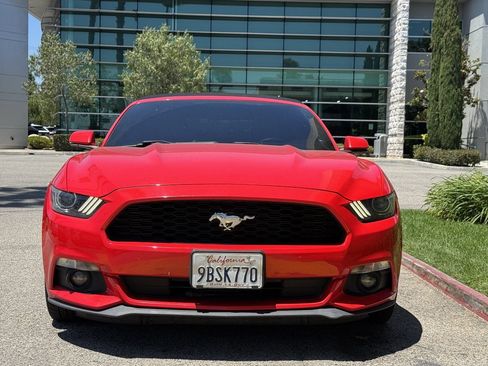 Used 2015 Ford Mustang Premium RWD image 3