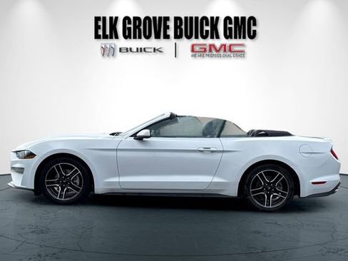 Used 2023 Ford Mustang Premium RWD image 7