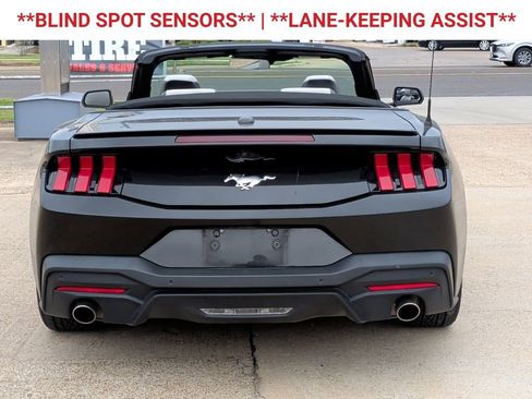 Used 2024 Ford Mustang Premium RWD image 7