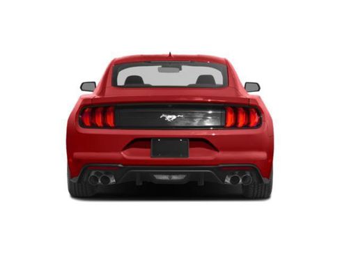 Used 2022 Ford Mustang Coupe w/ Equipment Group 101A image 5