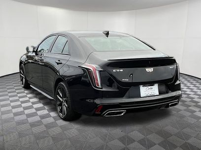 Used 2025 Cadillac CT4 Sport w/ Climate Package