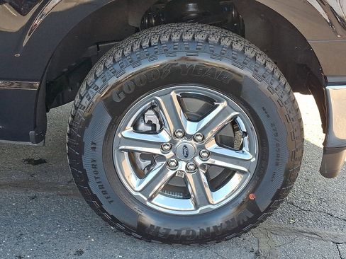 Used 2025 Ford F150 XLT w/ Equipment Group 301A Standard image 8