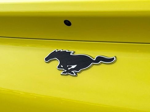 Used 2025 Ford Mustang Mach-E Select AWD/4WD image 15