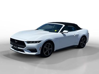 Used 2024 Ford Mustang Premium