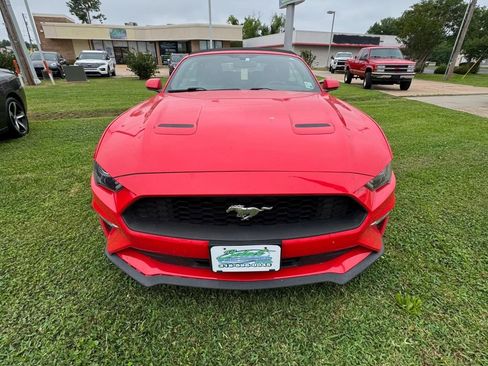 Used 2019 Ford Mustang Premium RWD image 4