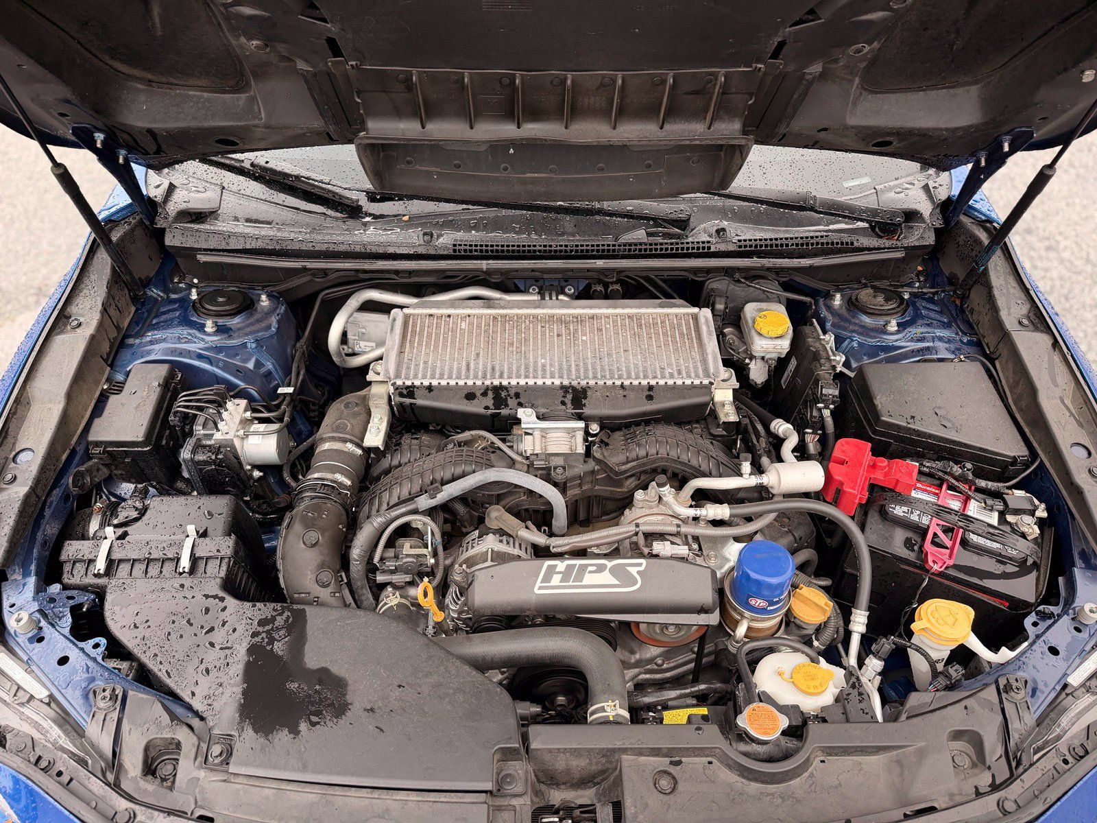 Used 2022 Subaru WRX GT AWD/4WD image 62