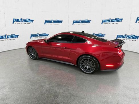 Used 2023 Ford Mustang EcoBoost w/ Equipment Group 101A image 7