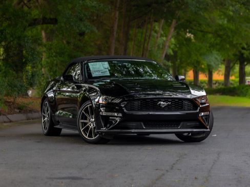 Used 2019 Ford Mustang Premium w/ Equipment Group 201A RWD image 2