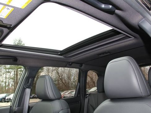 Certified 2025 Subaru Forester Limited image 18