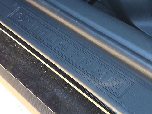 New 2026 Ford Mustang Coupe w/ Mustang Nite Pony Package image 15