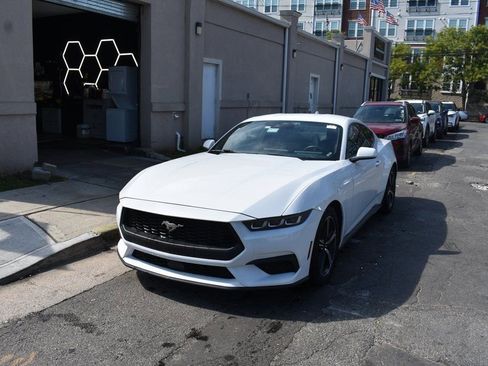 Used 2024 Ford Mustang Coupe image 2