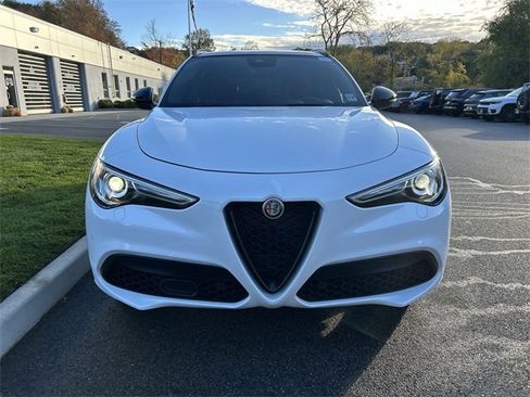 Used 2023 Alfa Romeo Stelvio Veloce image 3