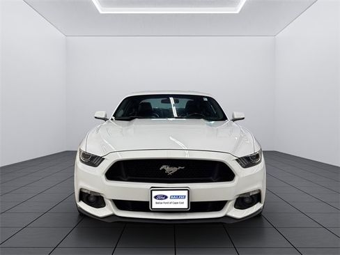 Used 2017 Ford Mustang GT Premium w/ Equipment Group 401A image 1