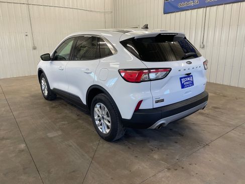 Used 2022 Ford Escape SE AWD/4WD image 3