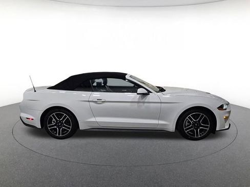 Used 2019 Ford Mustang Premium RWD image 4