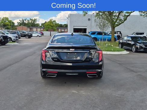 Used 2023 Cadillac CT5 Luxury w/ Sun And Sound Package AWD/4WD image 5