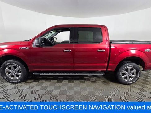 Used 2019 Ford F150 XLT w/ Equipment Group 302A Luxury image 5