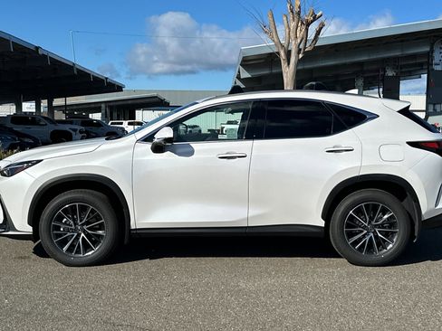 Used 2025 Lexus NX 350h AWD w/ Cold Area Package image 7