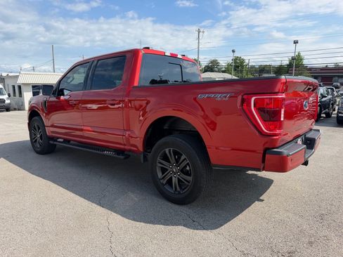 Used 2023 Ford F150 XLT w/ Equipment Group 302A High AWD/4WD image 11