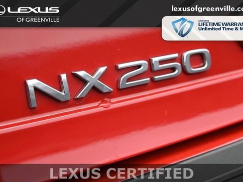 Certified 2024 Lexus NX 250 FWD w/ Cold Area Package image 10