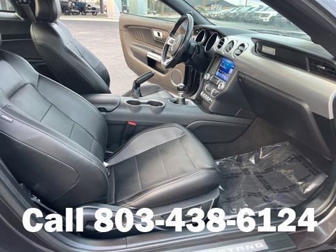 Used 2023 Ford Mustang GT Premium w/ Mustang Nite Pony Package image 12