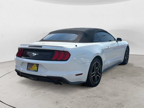 Used 2019 Ford Mustang Premium RWD image 3