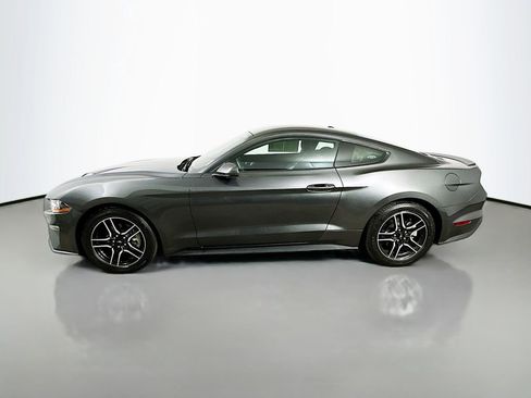 Used 2019 Ford Mustang Premium w/ Equipment Group 201A image 5