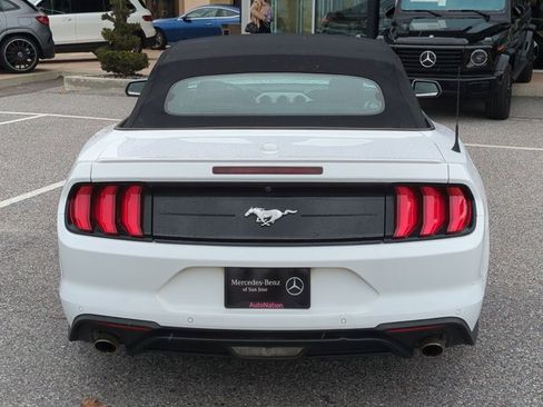 Used 2023 Ford Mustang Premium w/ Equipment Group 201A image 7