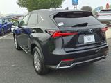 Used 2020 Lexus NX 300h AWD w/ Comfort Package image 4