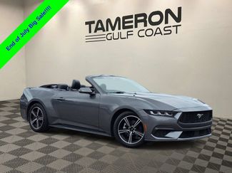 Used 2024 Ford Mustang Premium RWD video 1