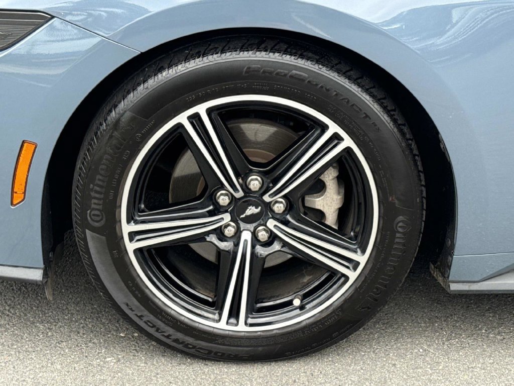 Used 2024 Ford Mustang Premium RWD image 8