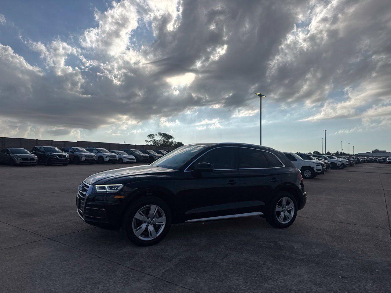 Used 2019 Audi Q5 2.0T Premium Plus AWD/4WD image 14