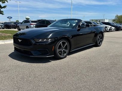 Used 2024 Ford Mustang Premium