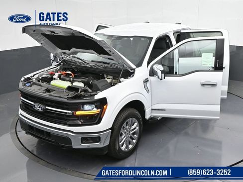 Used 2024 Ford F150 XLT w/ Equipment Group 302A MID AWD/4WD image 55
