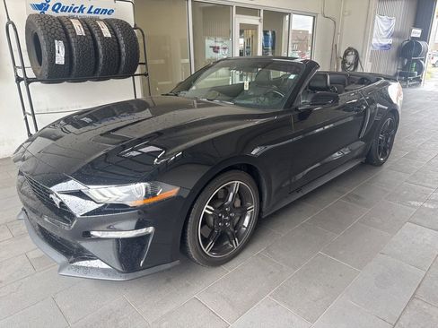 Used 2019 Ford Mustang GT Premium w/ Equipment Group 401A RWD image 9