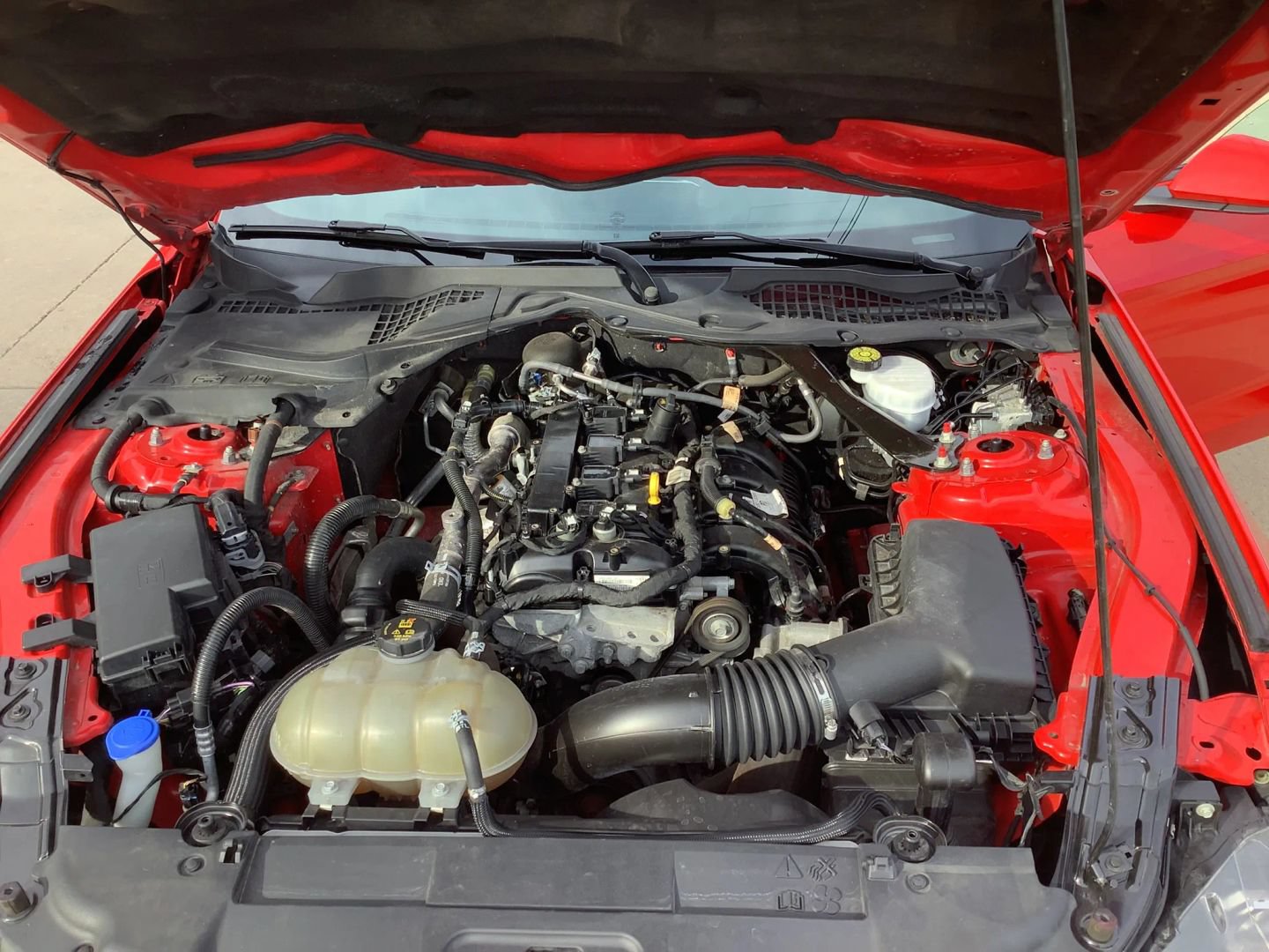 Used 2022 Ford Mustang Premium RWD image 39