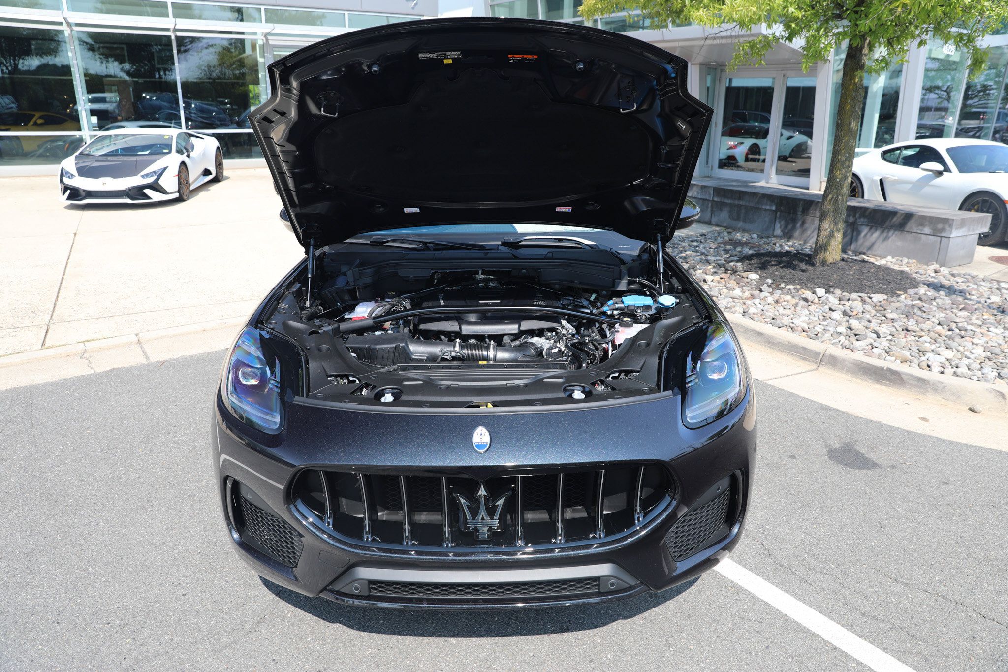 Used 2024 Maserati Grecale Modena AWD/4WD image 66