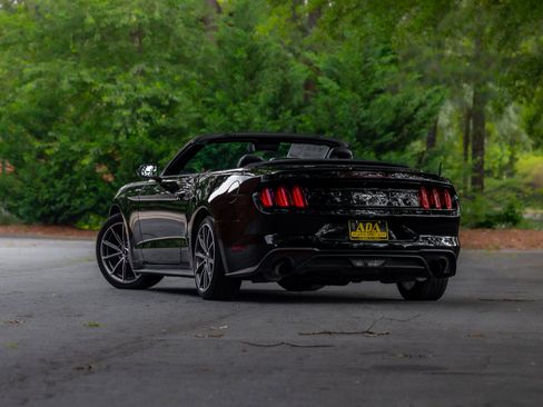 Used 2019 Ford Mustang Premium w/ Equipment Group 201A RWD image 6
