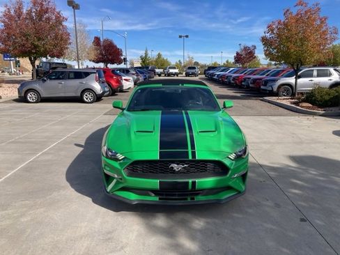 Used 2019 Ford Mustang Premium w/ Equipment Group 201A image 3