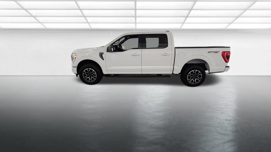 Used 2023 Ford F150 XLT w/ Equipment Group 302A High AWD/4WD image 5
