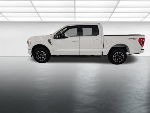 Used 2023 Ford F150 XLT w/ Equipment Group 302A High AWD/4WD image 5