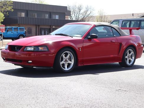 Used 1999 Ford Mustang Cobra image 11