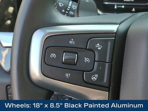 Used 2024 Chevrolet Silverado 1500 LT Trail Boss image 24