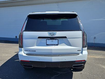 New 2026 Cadillac Escalade Platinum Sport w/ LPO, ONYX Package
